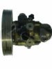 SPIDAN 54173 Hydraulic Pump, steering system